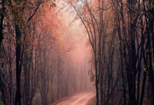 NG体育:斯卡洛尼:我们作为一个团队在进行比赛,成功压制了巴西.