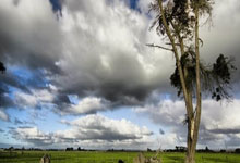张雨霏今年首秀决赛失利险垫底 两进奥运决赛的浙江女将神勇夺冠.