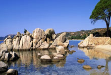 NG体育:“汉马+樱花”双IP联动:7.1万游客涌入武汉,赛事流量激活近3亿消费增量.